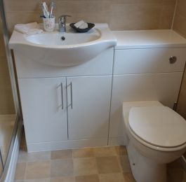 Click Here To View Larger Image