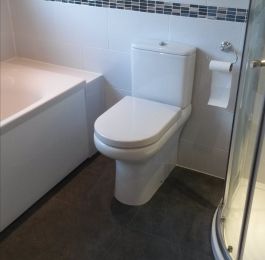 Click Here To View Larger Image