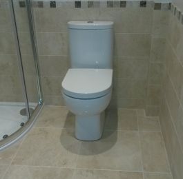 Click Here To View Larger Image