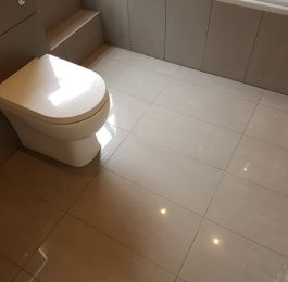 Click Here To View Larger Image