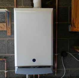 Click Here To View Larger Image