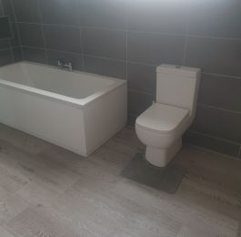 Click Here To View Larger Image