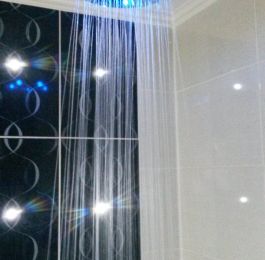 Click Here To View Larger Image